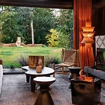 Hotel Safari Suite Lions Zoo De La Fleche