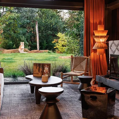Hotel Safari Suite Lions Zoo De La Fleche