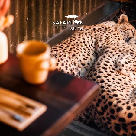 Safari Suite Lions Zoo De La Fleche ホテル *