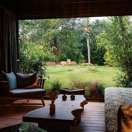 Safari Suite Lions Zoo De La Fleche ホテル